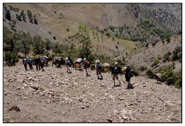 toubkal 67 kim.jpg